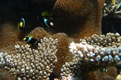 d0298808_1284847.jpg