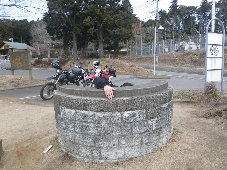 山へ芝刈りに?_f0141609_8341378.jpg
