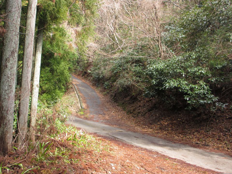 e0293913_2144404.jpg