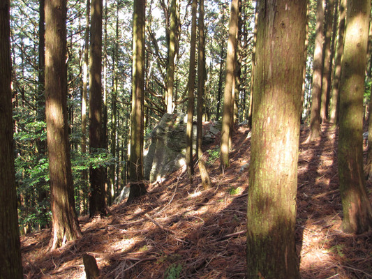 e0293913_221599.jpg