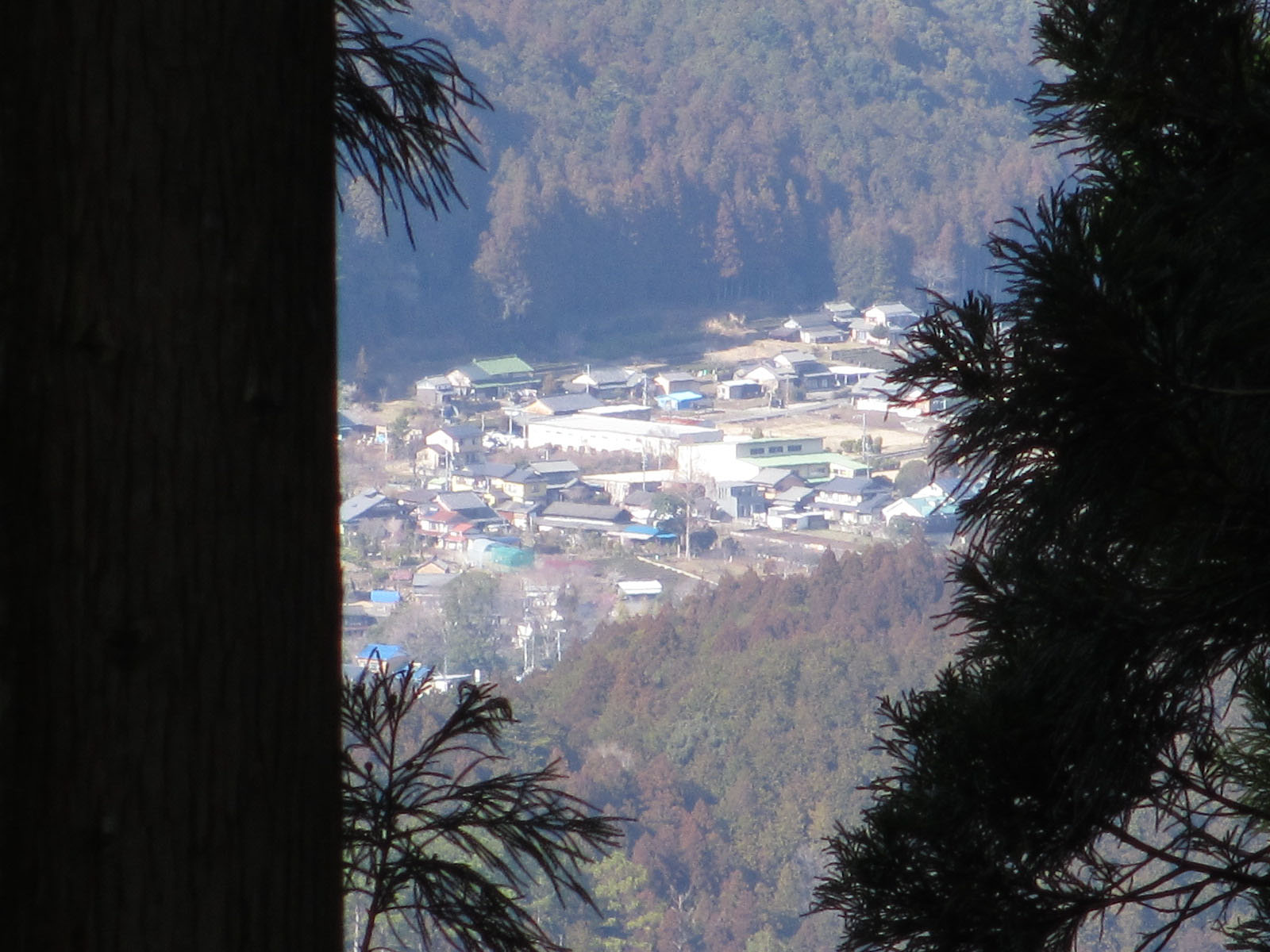 e0293913_229830.jpg