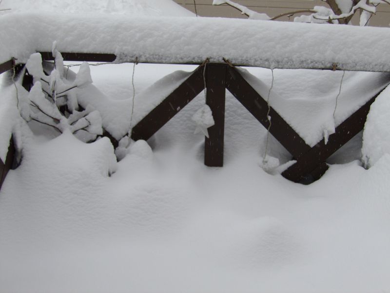 再び雪に埋もれた札幌_c0025115_18592596.jpg