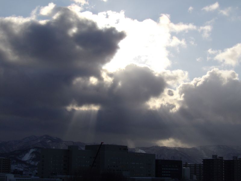 再び雪に埋もれた札幌_c0025115_19102546.jpg