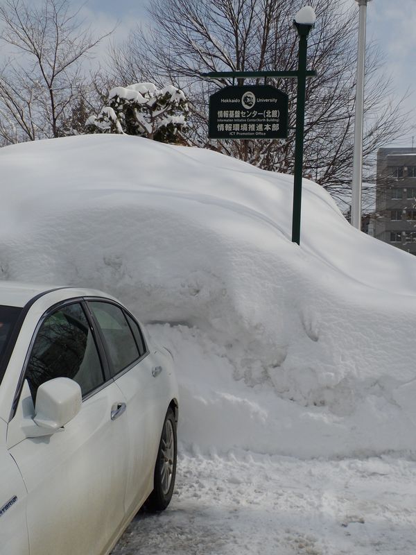 再び雪に埋もれた札幌_c0025115_1922034.jpg