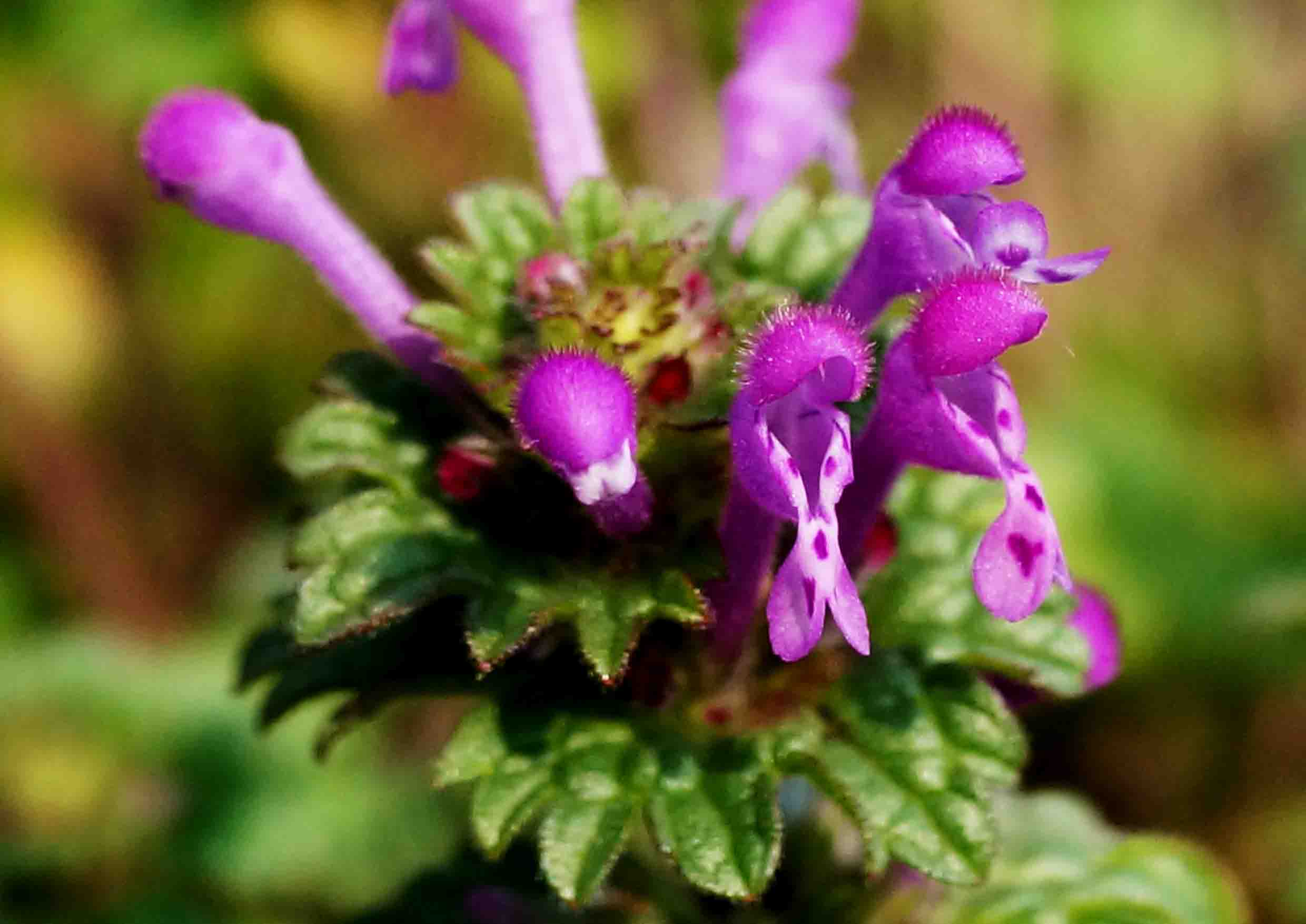 d0156718_18612.jpg