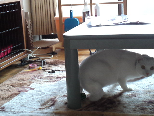 a0206019_00231393.jpg