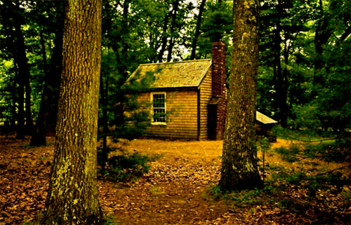 神と天国に一番近い場所 そこは ウォールデンという湖のほとりだ Henry David Thoreau Martin Island 空と森と水と 神と天国に一番近い場所 そこは ウォールデンという湖のほとりだ Henry David Thoreau Martin Island 空と森と水と