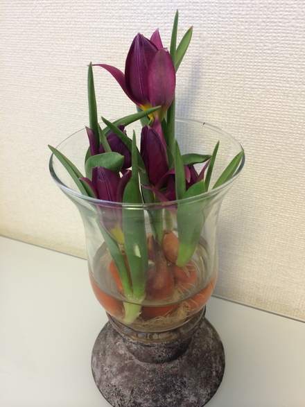 野菜ギョウザ・・・♪3/10①_b0247223_1413887.jpg