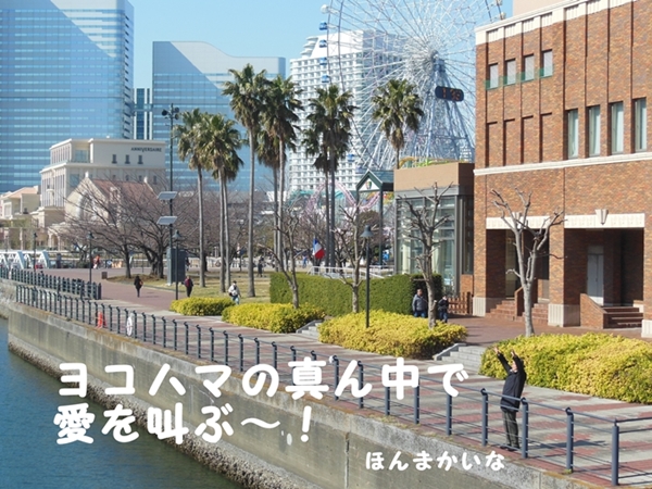 d0284727_17230719.jpg