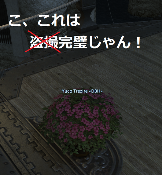 b0131829_16582589.png