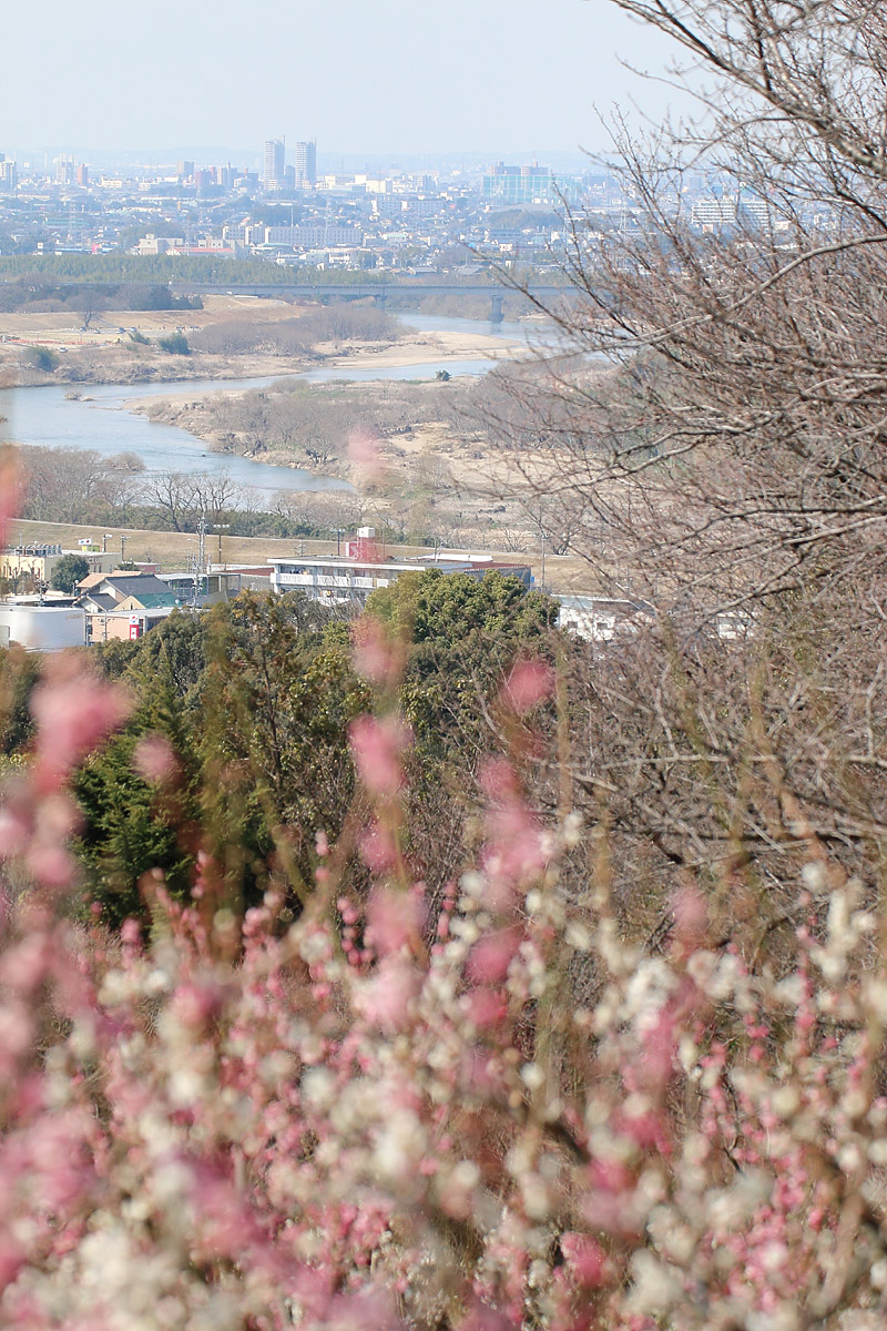b0222029_21284329.jpg