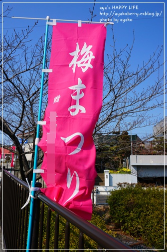 b0179630_8453425.jpg