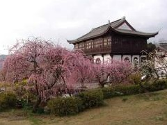 御津自然観察公園_b0155038_16341935.png