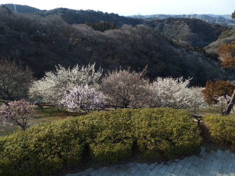 c0097838_2019743.jpg