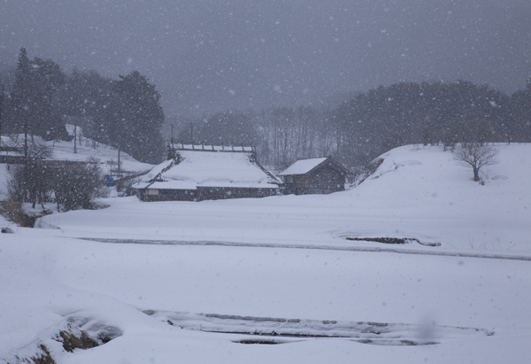 今季最後の雪景色_d0163550_7573217.jpg