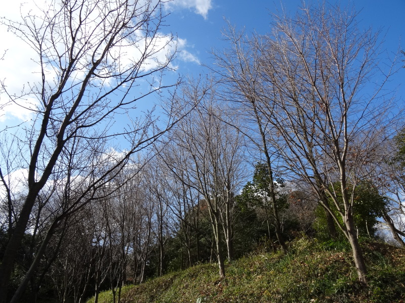 c0108460_17572740.jpg