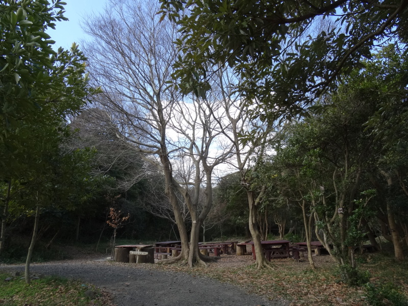 c0108460_17572857.jpg
