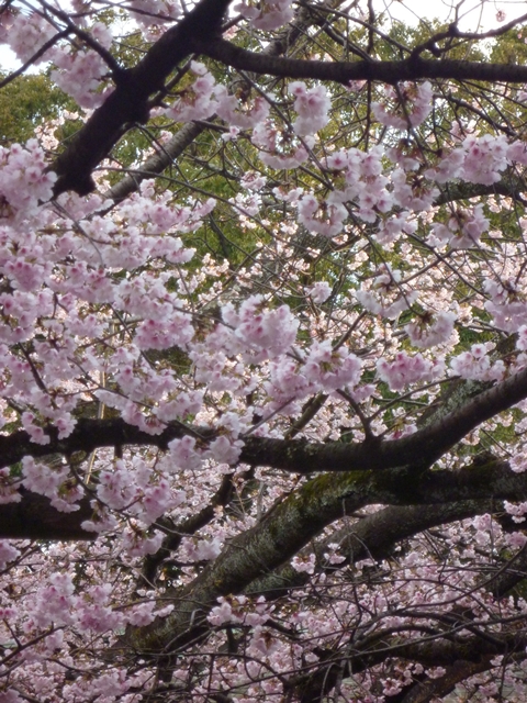 c0222861_2165869.jpg