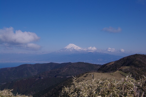 d0164761_9471412.jpg