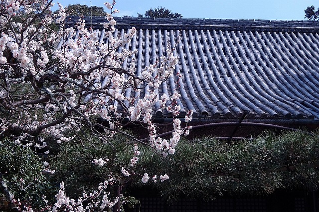 b0044663_0461681.jpg