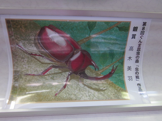 ぐんま昆虫の森 絵画展 応募作品の中から 赤城焼 陶器のねこと苔玉あそび ハナイカダ探検隊