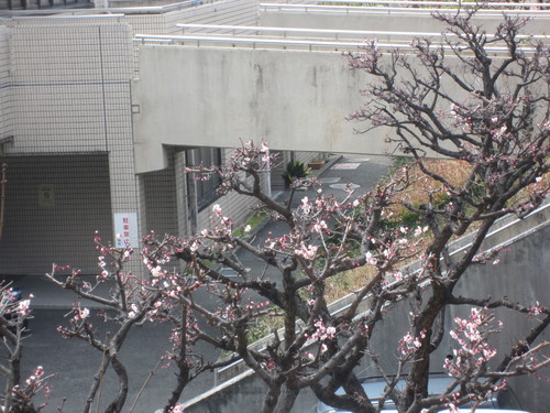 f0256164_1262685.jpg