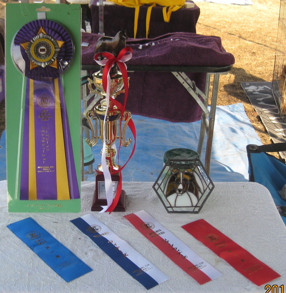 3.9 JKCシェルティ部会展_a0139367_21275697.jpg