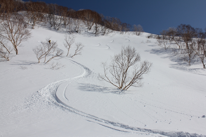 3月9日　高松山_f0223068_12561268.jpg