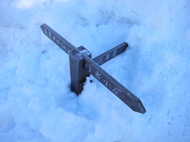 f0202271_0368.jpg