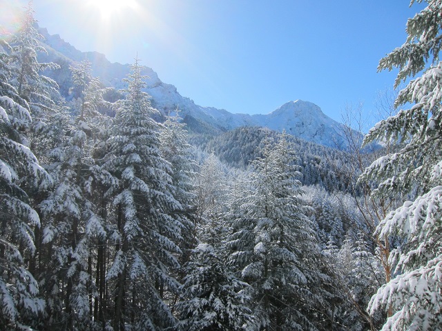 f0202271_0755.jpg
