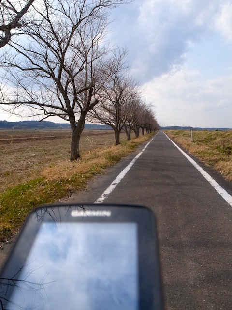 b0247073_23114012.jpg