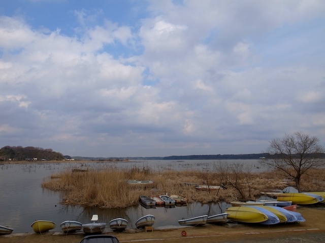 b0247073_239278.jpg