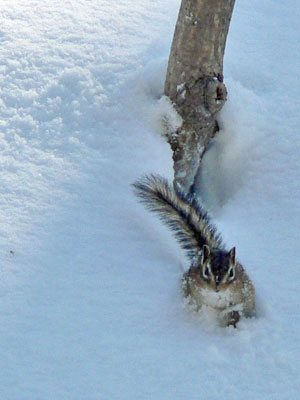 f0083977_0302458.jpg