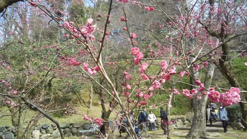 f0200477_225371.jpg