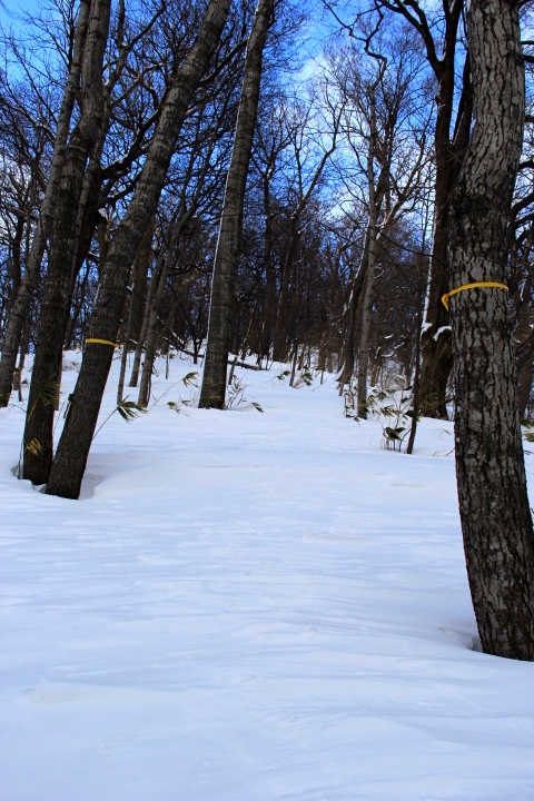 e0068480_20164896.jpg