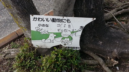 f0228680_9572239.jpg