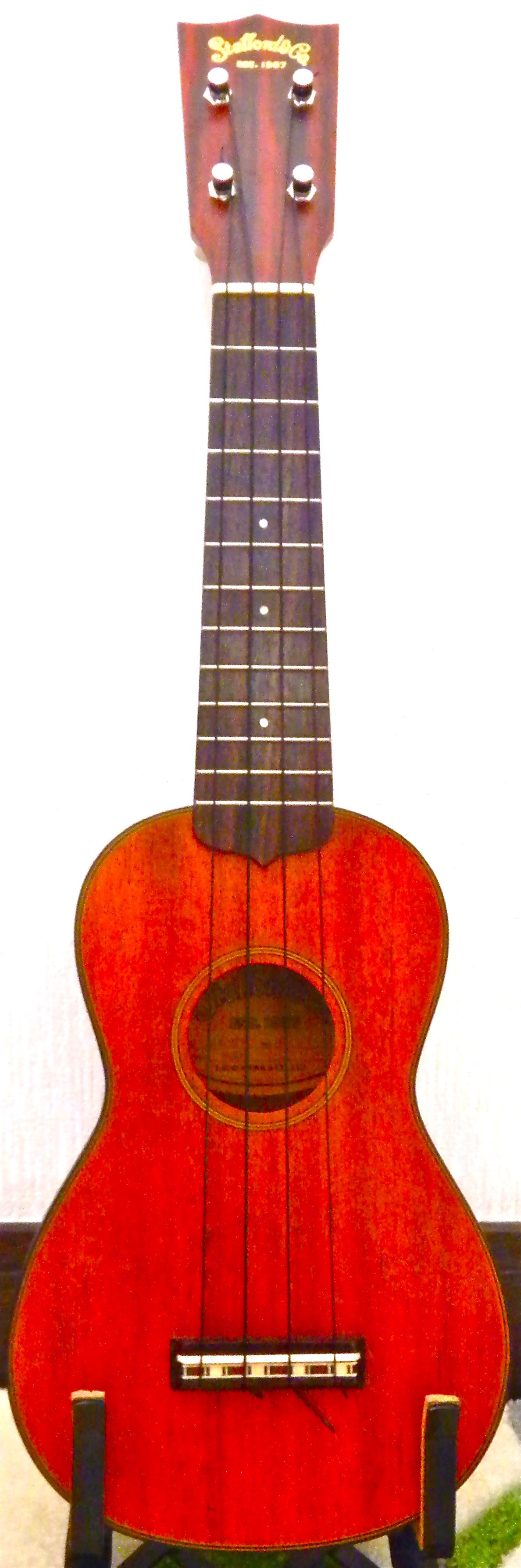 stafford ウクレレ 美品 交換弦つき