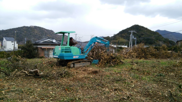 田口温州の改植地_d0141987_2212670.jpg