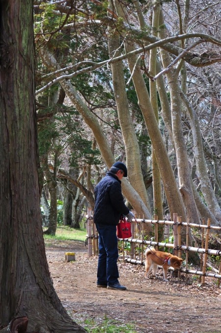 春はどこに? Spring hasn\'t come yet._a0126590_21292872.jpg