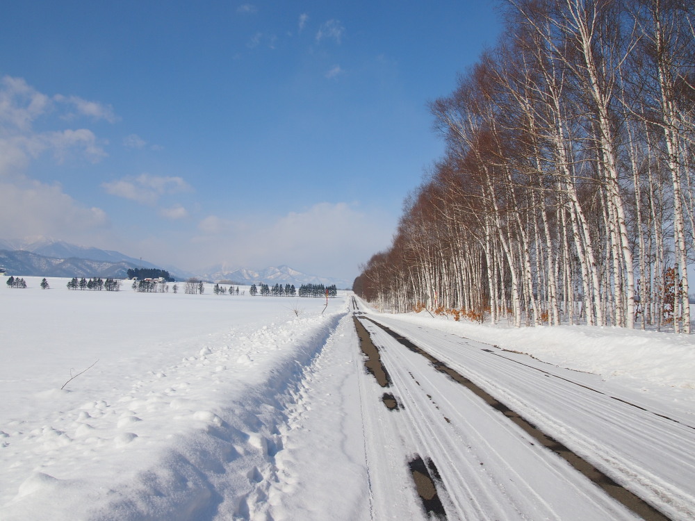 2月の中札内村‥防風林のある農村風景_f0276498_17002156.jpg