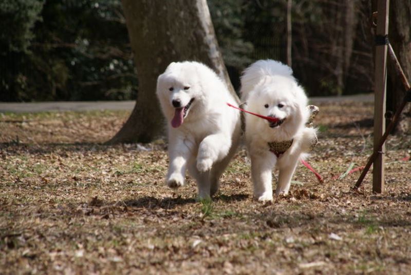 代々木公園～♪[Ⅱ]　３月９日　[日]_e0018604_14261384.jpg