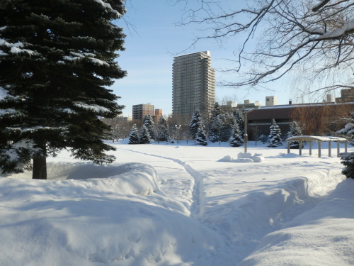 e0242504_20002989.jpg