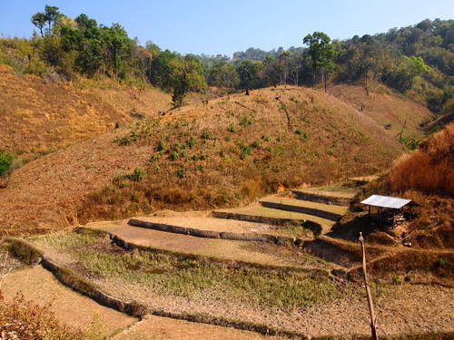 タイキャンプ　活動報告　その3　_a0080406_11325533.jpg