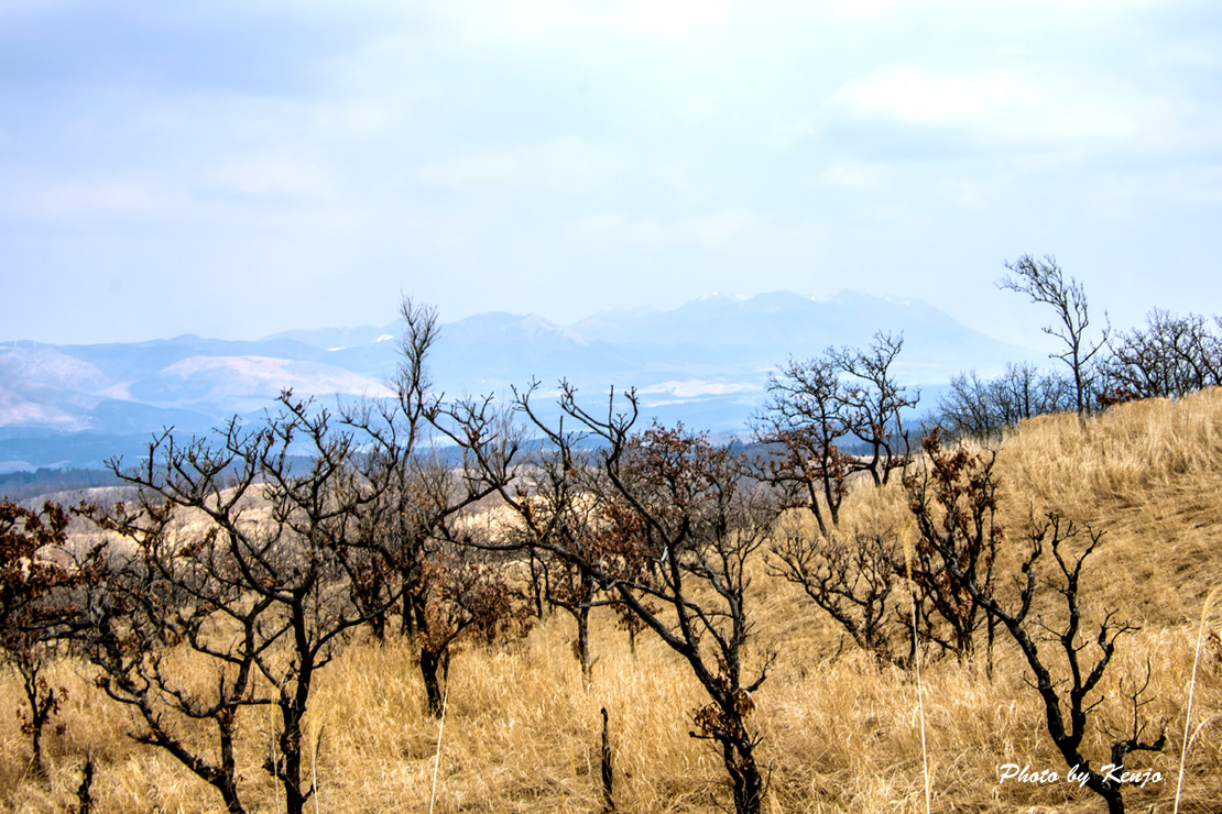 a0097006_2112378.jpg