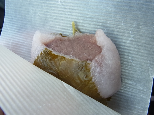 e0243008_11585762.jpg