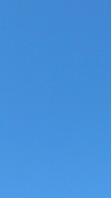 e0058913_1220862.jpg