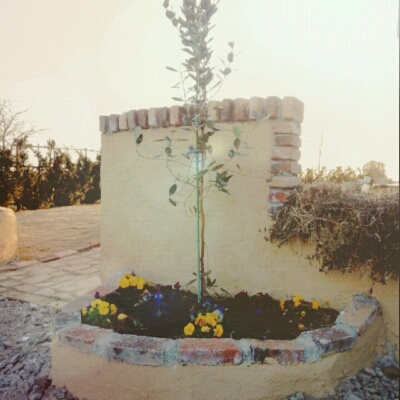 c0307615_17412472.jpg