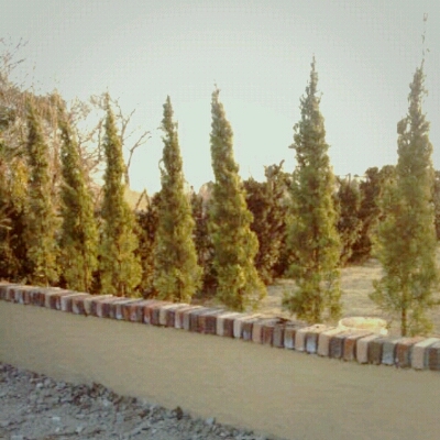 c0307615_17415475.jpg
