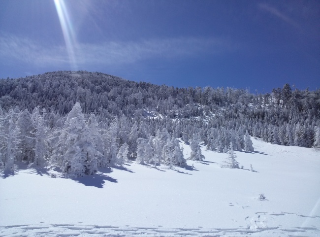b0291820_00431606.jpg