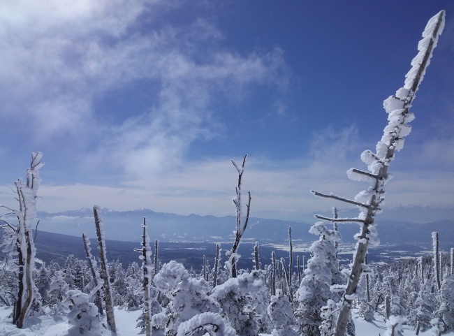 b0291820_00454085.jpg